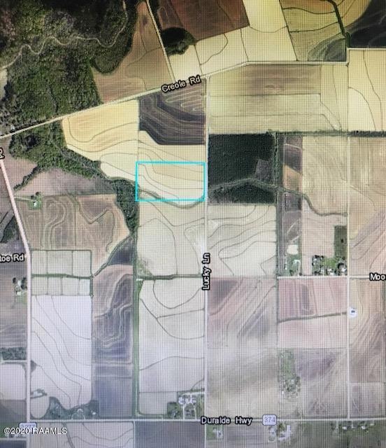 LOT C