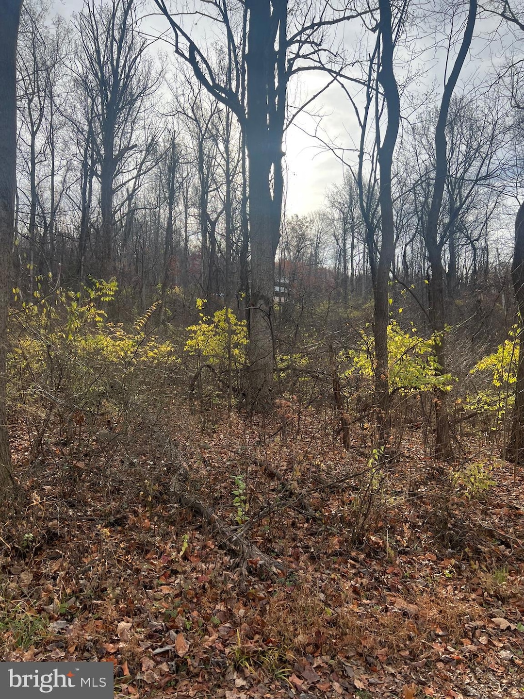 138 Venus Branch Rd, Front Royal, VA 22630 - photo 1