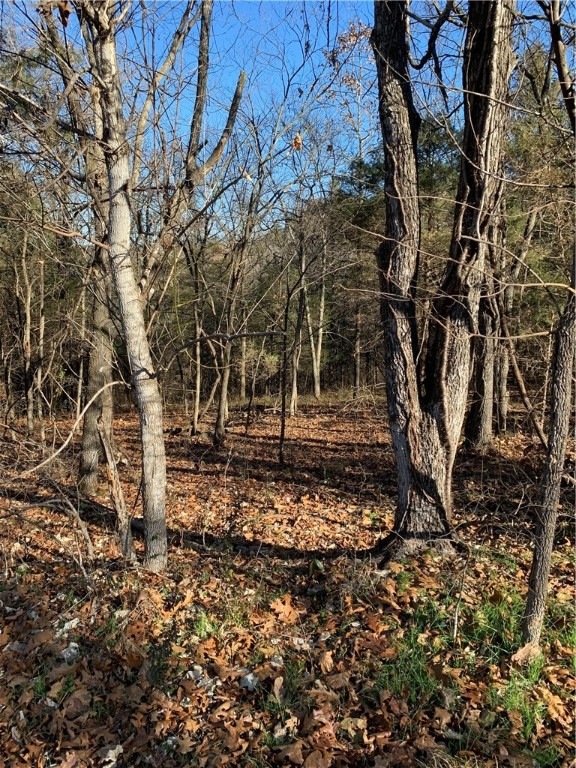 (Lot 22) Whitbeck Ln, Bella Vista, AR 72714 - photo 1