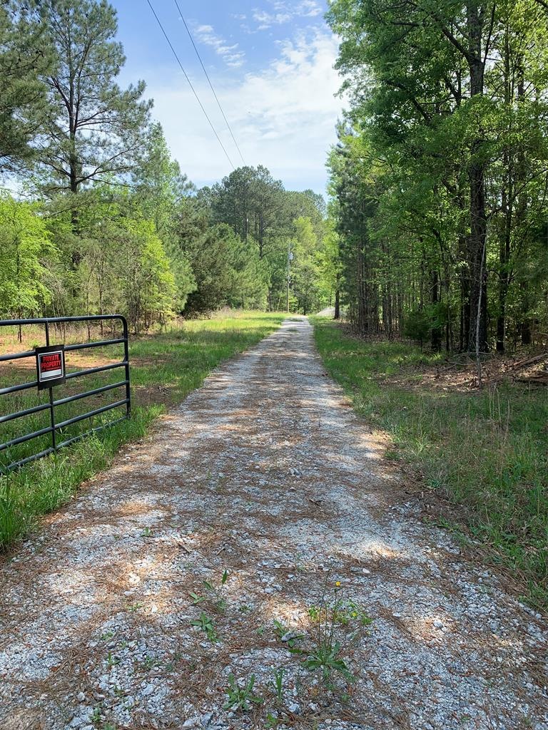 3672 Thomson Hwy, Lincolnton, GA 30817 - photo 1