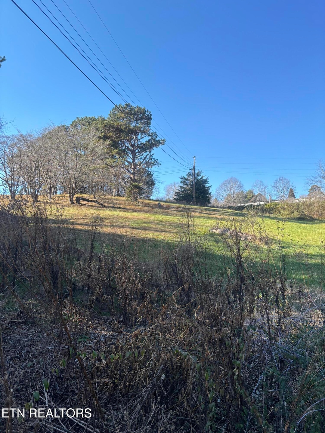 0 Walnut Cir, New Tazewell, TN 37825 - photo 1