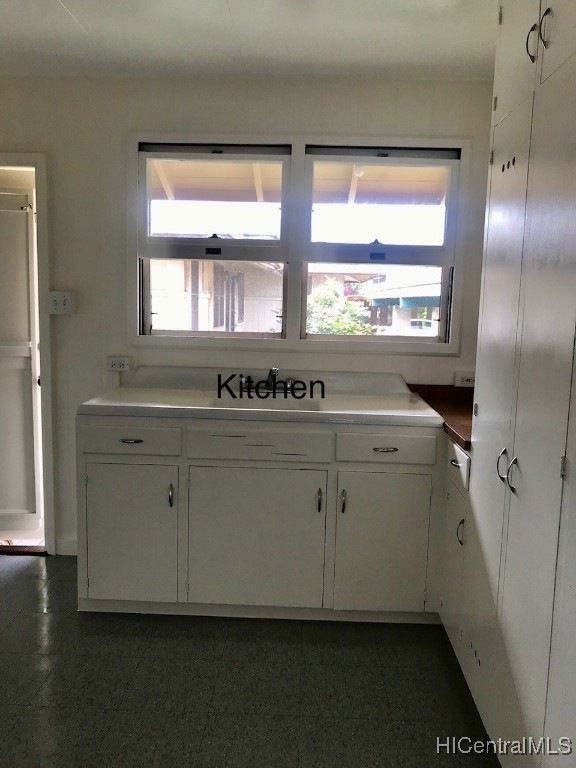 Kitchen area with backdoor and windows