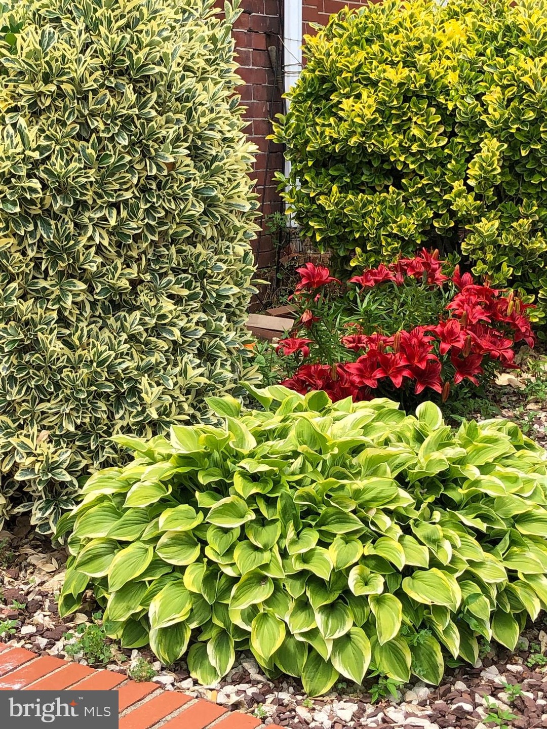 529 N Clayton St, Wilmington, DE 19805 - photo 1