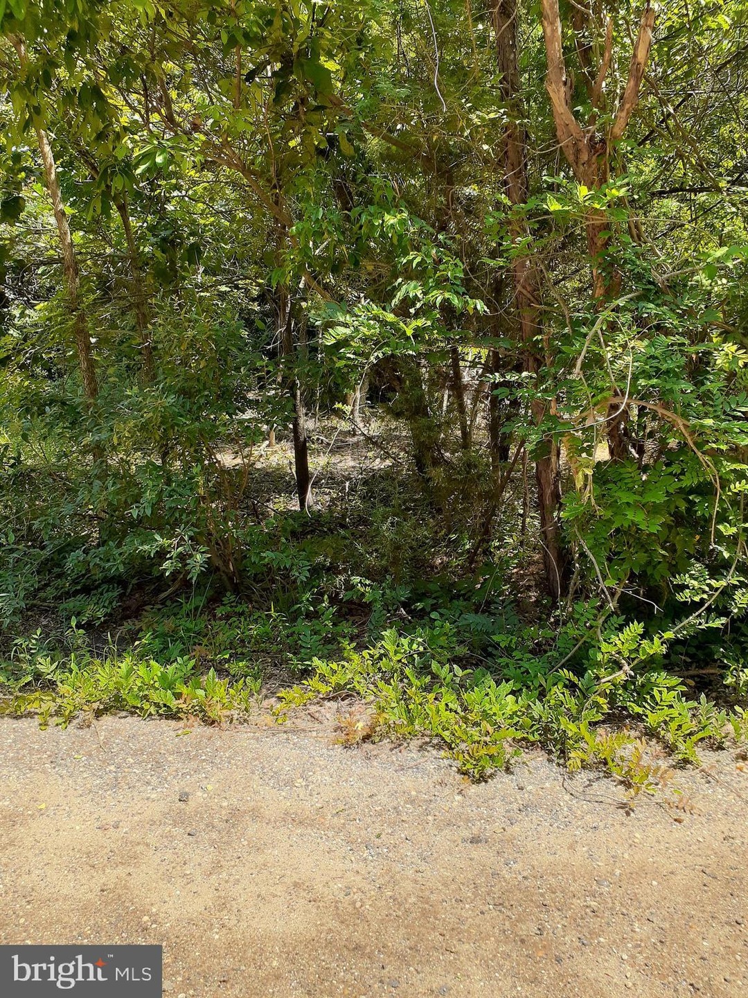 2324 Anderson Ave, Atco, NJ 08004 - photo 1