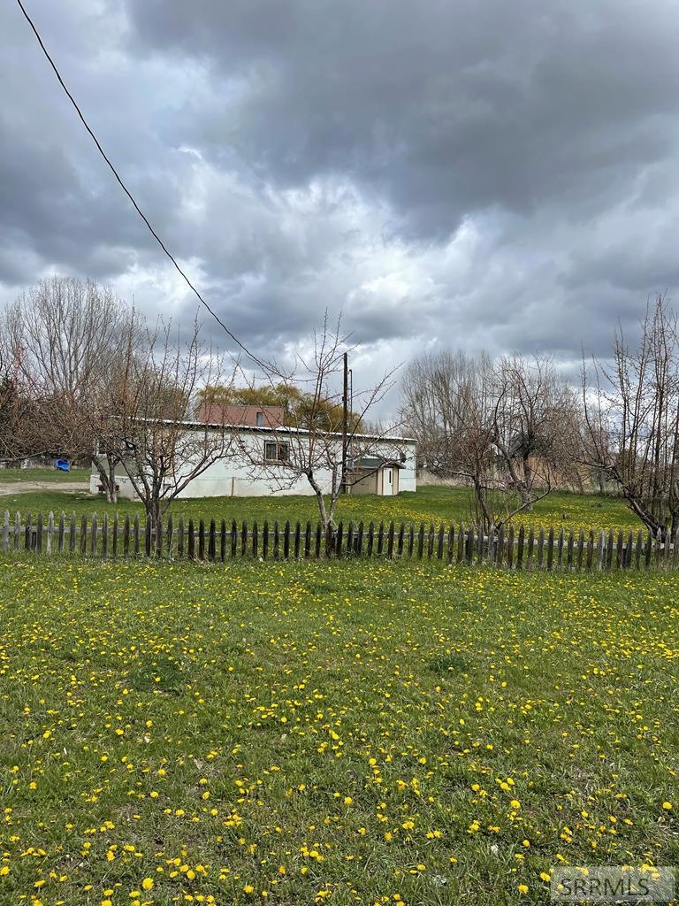 Main View