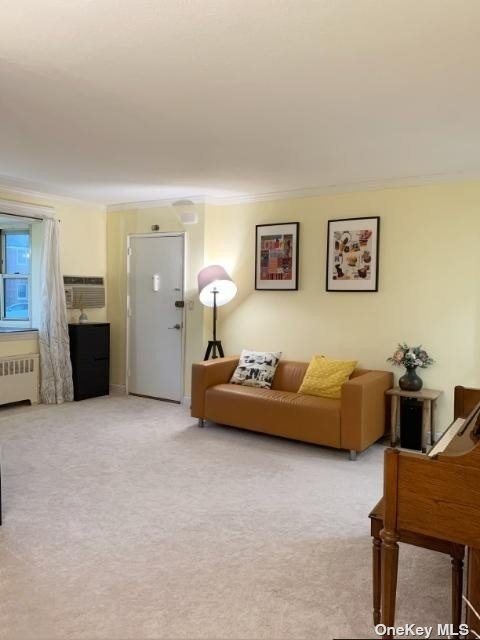 unlisted-address, Little Neck, NY 11362 - photo 1