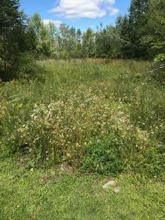 IMG_1036