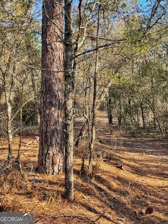 0 Highway 56 S unit 10646183, Swainsboro, GA 30401 - photo 1