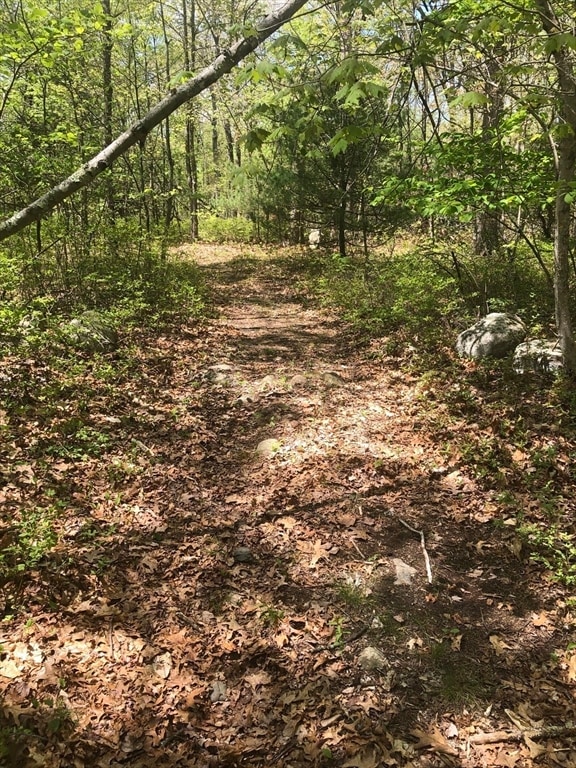 Pending $650,000 • Co-Listing Agent