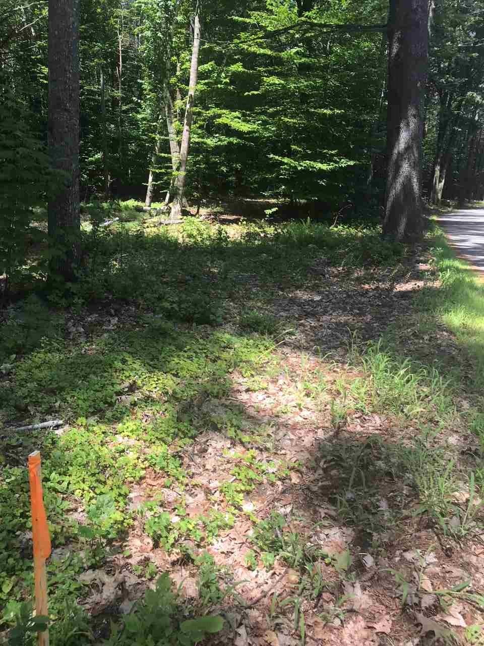 00 Long Point Rd unit 16, Moultonborough, NH 03254 - photo 1