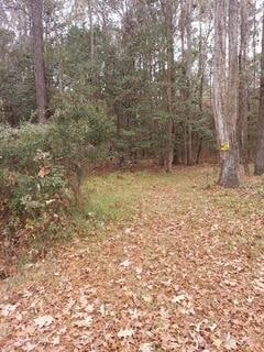 Lot 208 Prices Bridge Ln, Walterboro, SC 29488 - photo 1