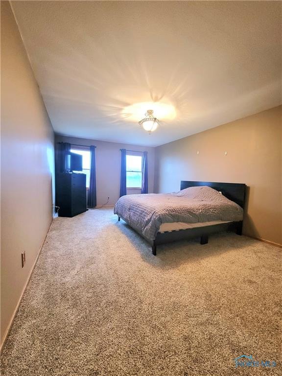 1185 N Martin Williston Rd, Genoa, OH 43430 - photo 1