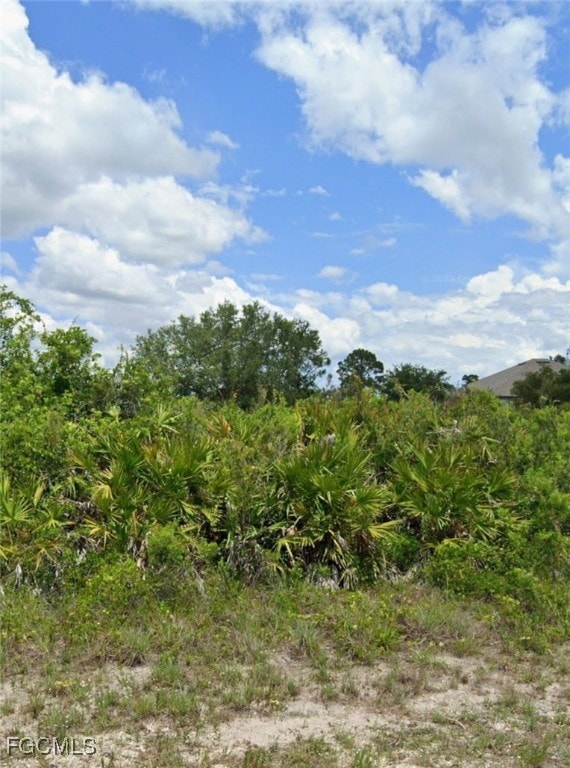 6012 Laura Ave N, Lehigh Acres, FL 33971 - photo 1