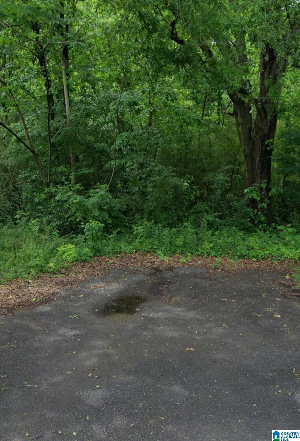 6101 Pratt St, Bessemer, AL 35228 - photo 1