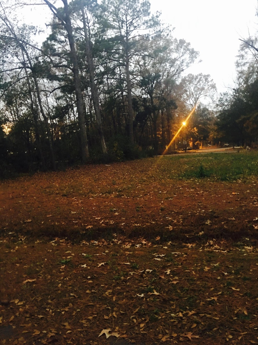 0 Wallace Ln unit 16032123, Charleston, SC 29407 - photo 1