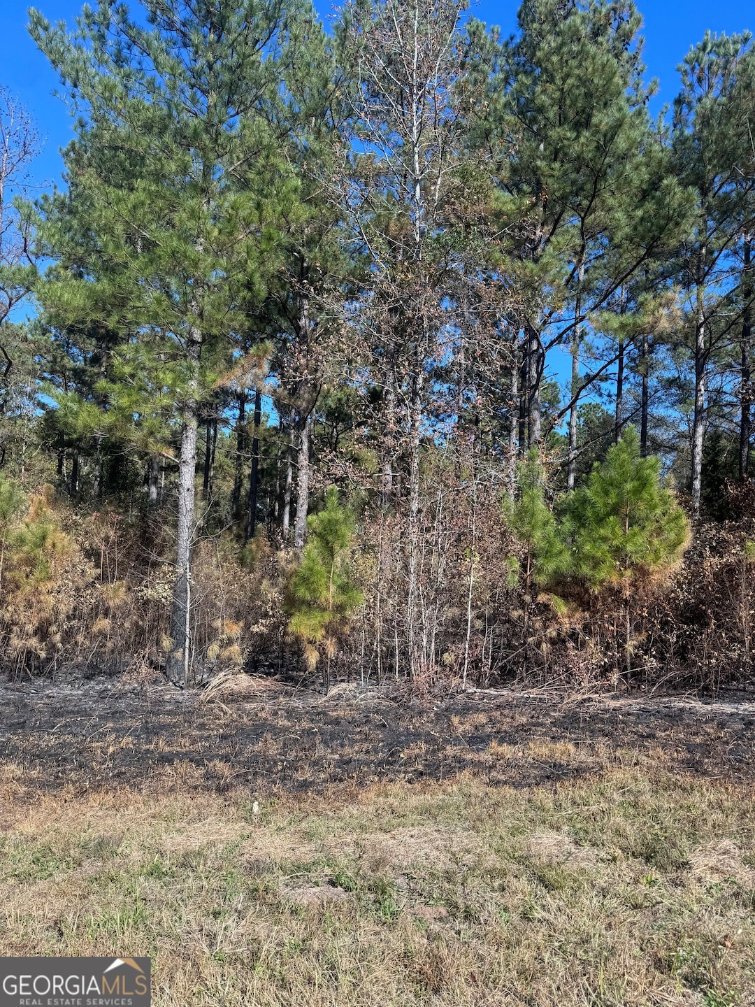 137 W Drummond Rd, West Point, GA 31833 - photo 1