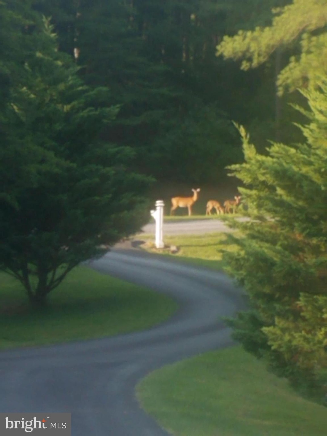 112 Douglas Dr, Middletown, VA 22645 - photo 1