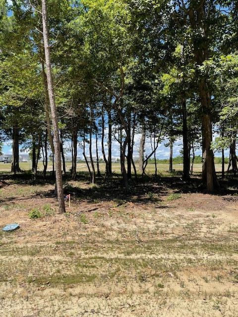 204 Capt Orris Browne unit 302, Cape Charles, VA 23310 - photo 1