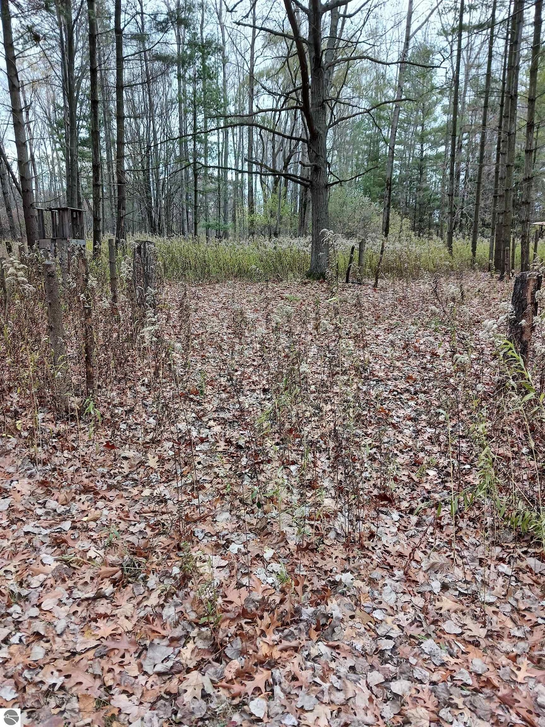 Sold $15,500 • Co-Listing Agent