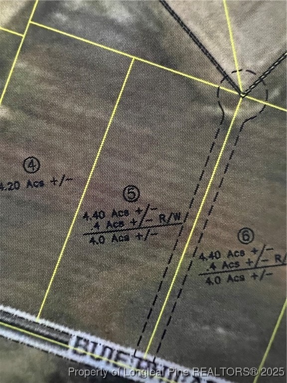 Lot 5 Buie - Philadelphus Rd, Red Springs, NC 28377 - photo 1