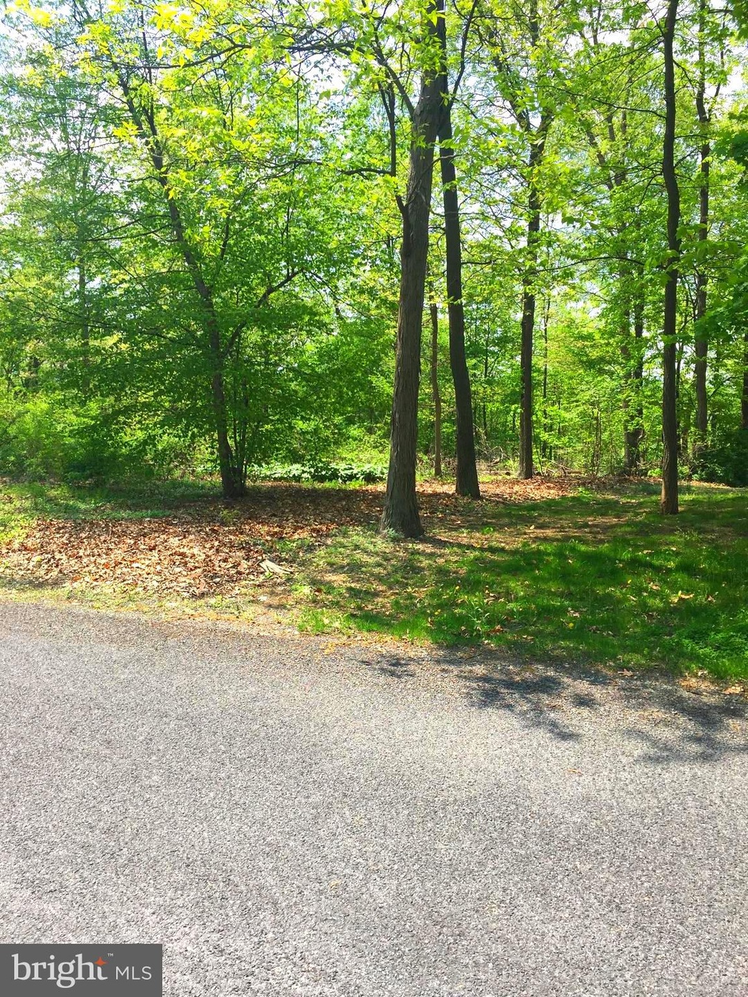 0 Castlegreen Dr unit PAFL100718, Greencastle, PA 17225 - photo 1