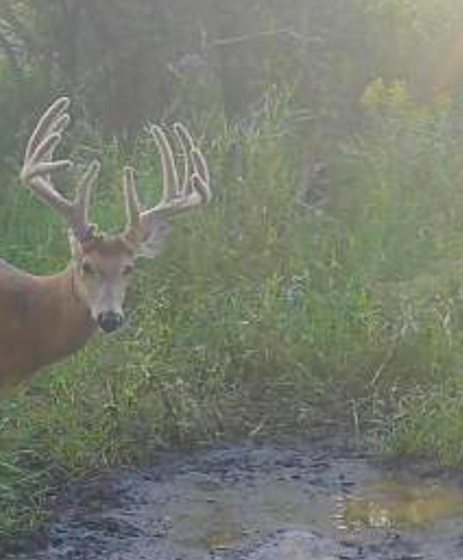 Tbd County Highway 73, Deer Creek, MN 56527 - photo 1