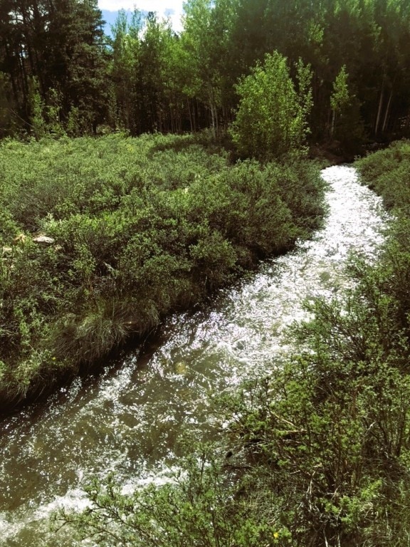 542 Thick Spike Rd, Fairplay, CO 80440 - photo 1