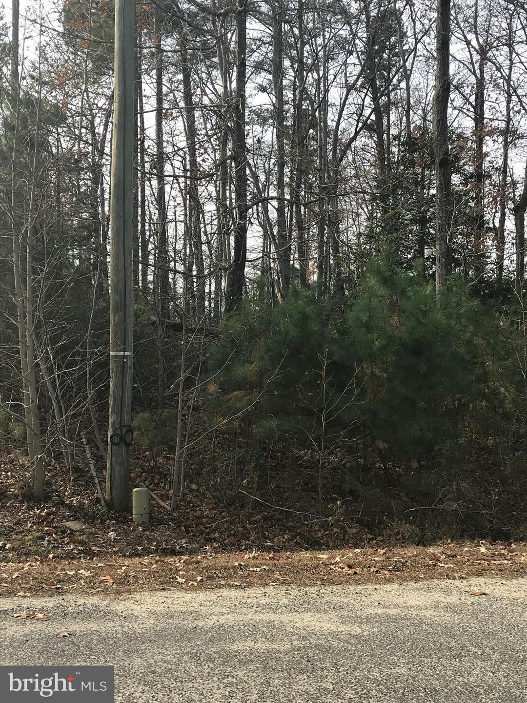 0 Matilda Ln, Montross, VA 22520 - photo 1