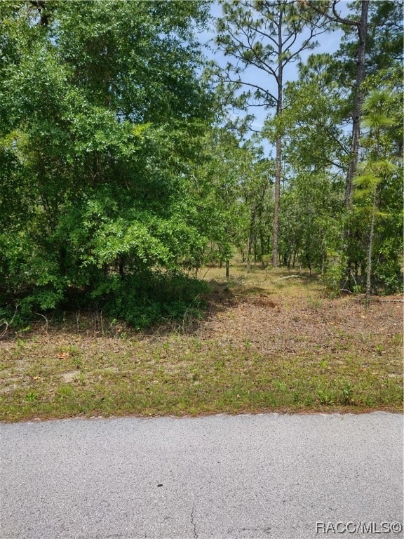 0000 SW Bonable Dr, Dunnellon, FL 34431 - photo 1