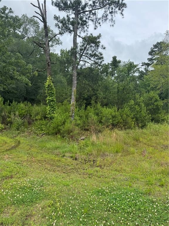 View of wooded area