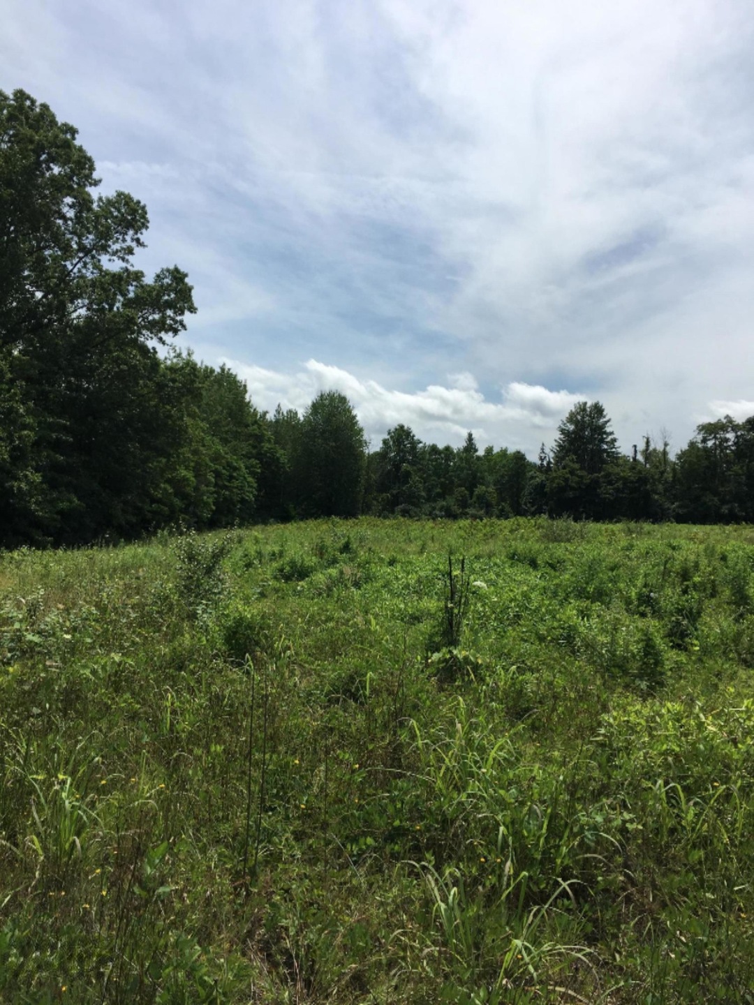 Sold $55,000 • Co-Listing Agent