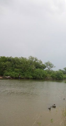 0 Cr 510 & Cr 520, Brazoria, TX 77422 - photo 1