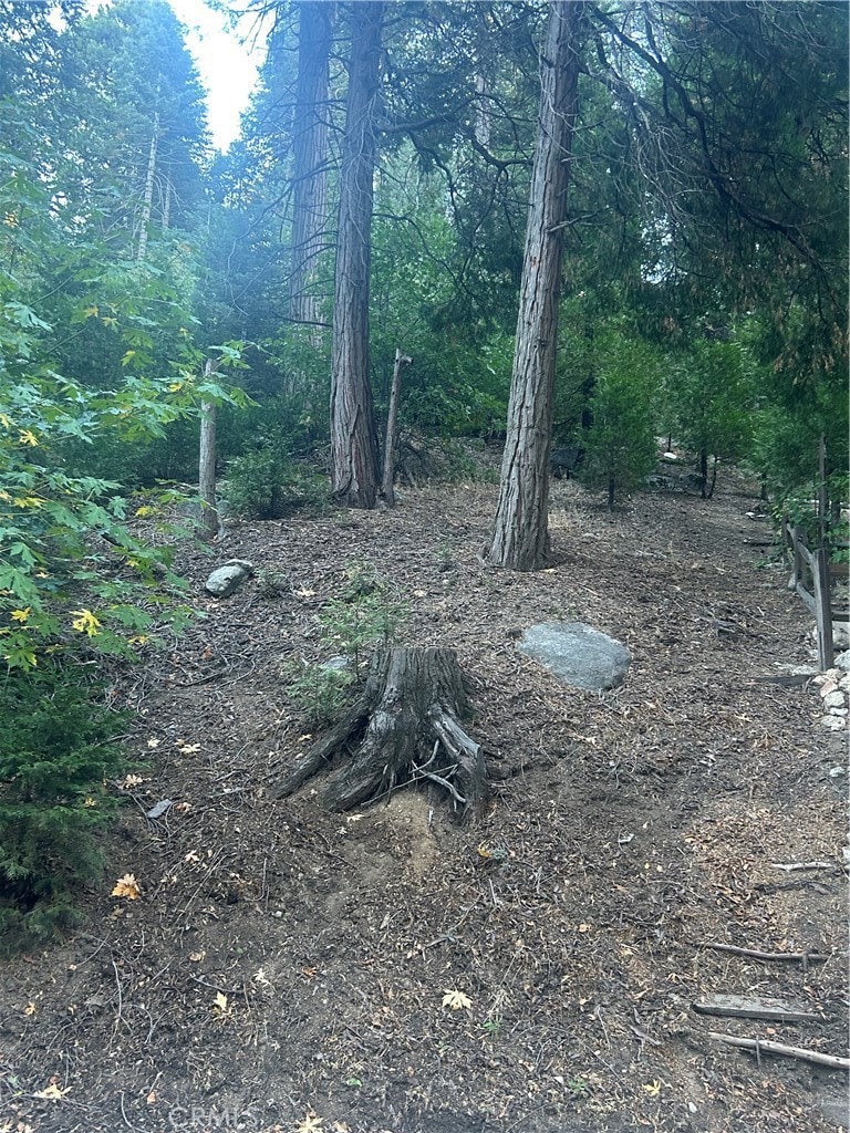 0 Nesthorn Dr unit DW25193576, Crestline, CA 92325 - photo 1