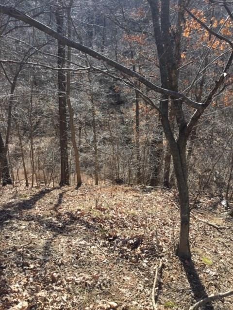 unlisted-address, Colcord, OK 74338 - photo 1