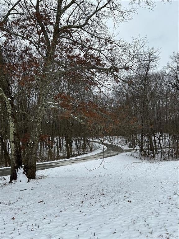 View from the open space field towards the lot.  L