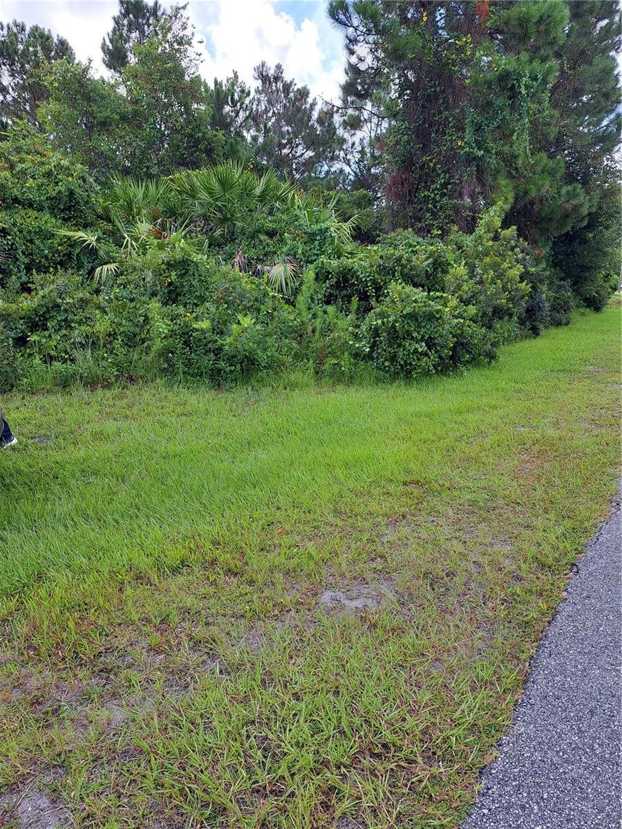 Large lot
