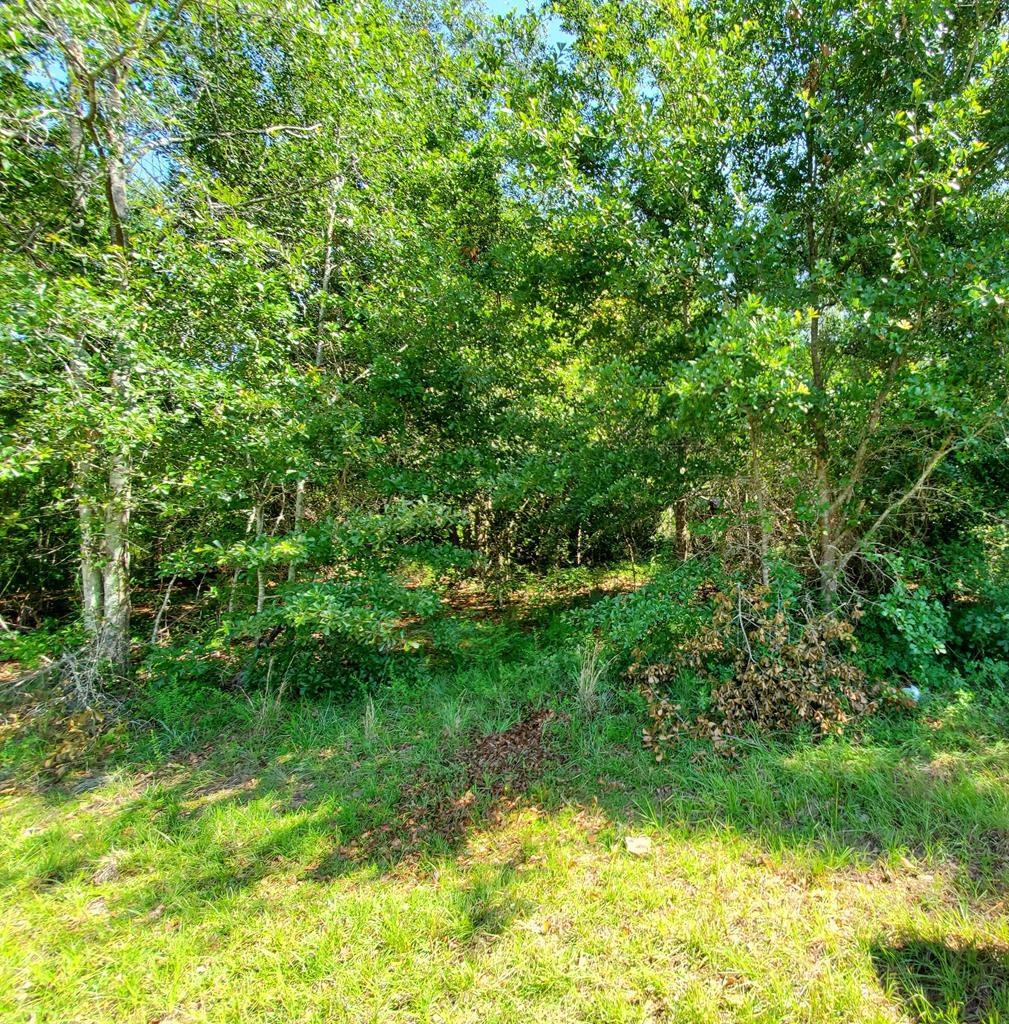 000 Morey Hill Rd, Baconton, GA 31716 - photo 1