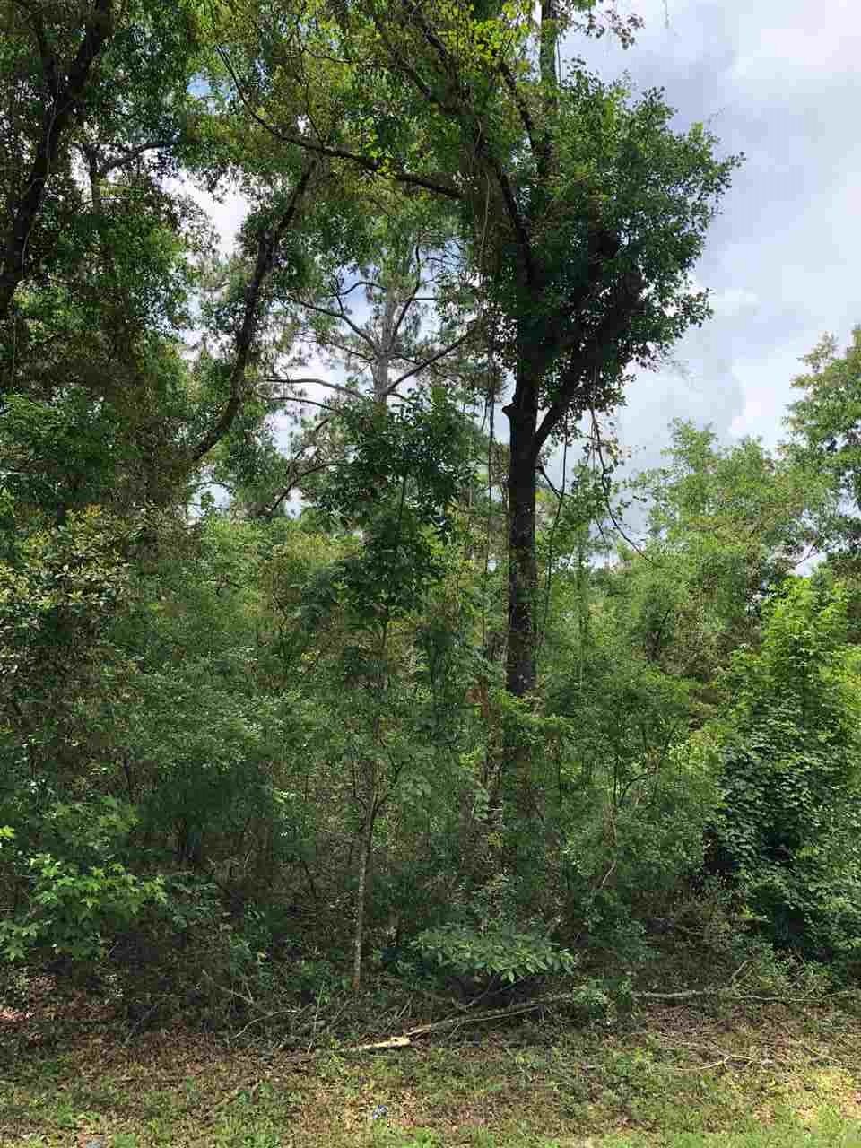 0 Franklin Dr unit 1, Crawfordville, FL 32327 - photo 1