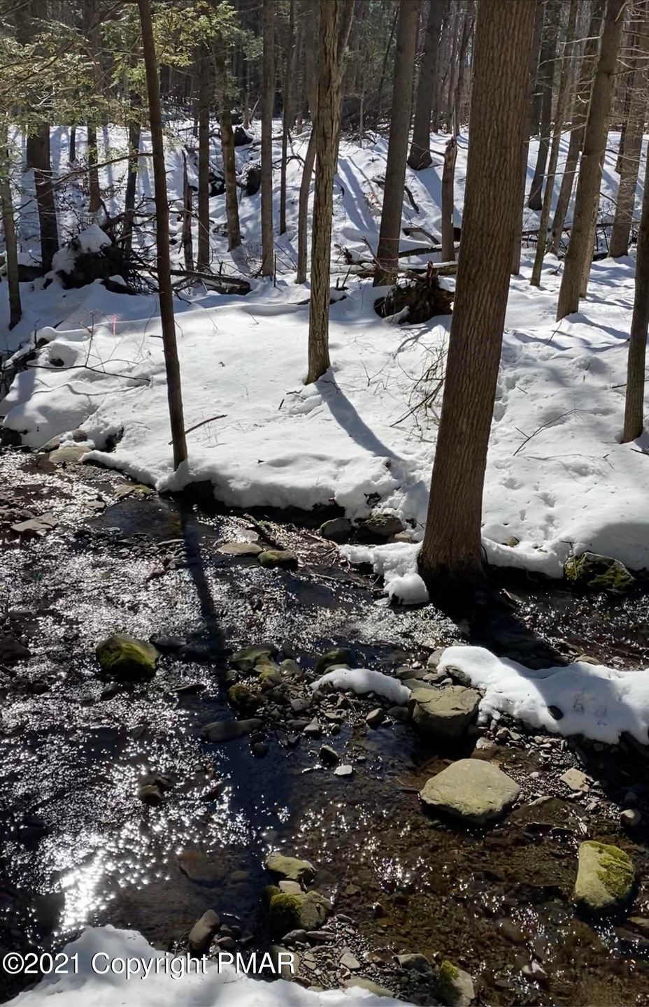 Lot 677 Raccoon Ct, Lehman Township, PA 18324 - photo 1