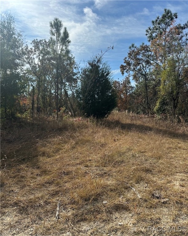Lot 2 NE 151 Terrace, Williston Highlands, FL 32696 - photo 1