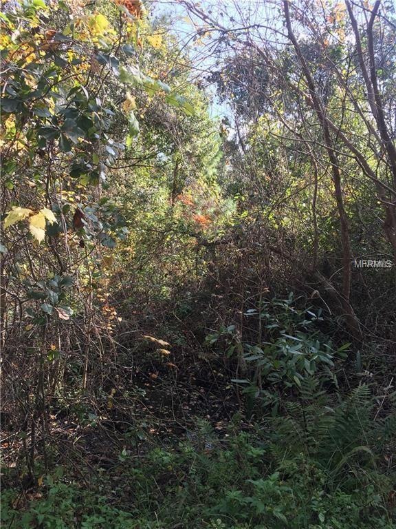 view from the center of the subject property.