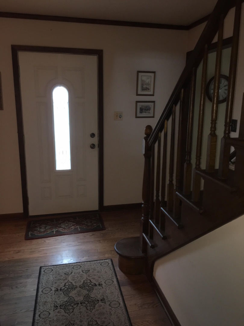 2 Danube Way, Olympia Fields, IL 60461 - photo 1