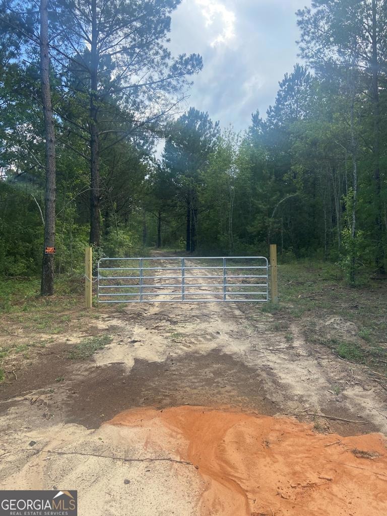 0 Mamie Graham Rd unit 30544, East Dublin, GA 31027 - photo 1