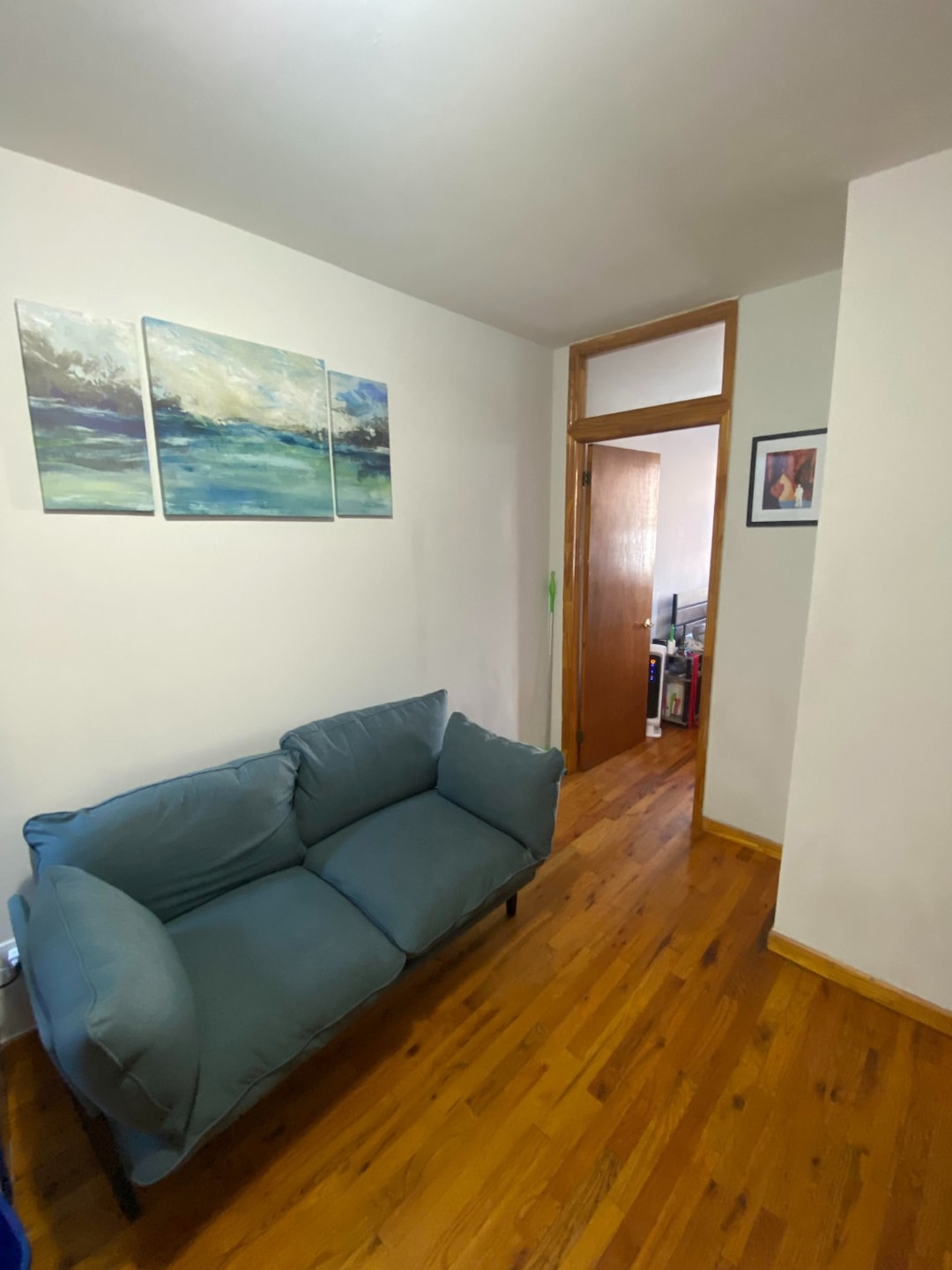 454 9th Ave unit 13, New York, NY 10018 - photo 1