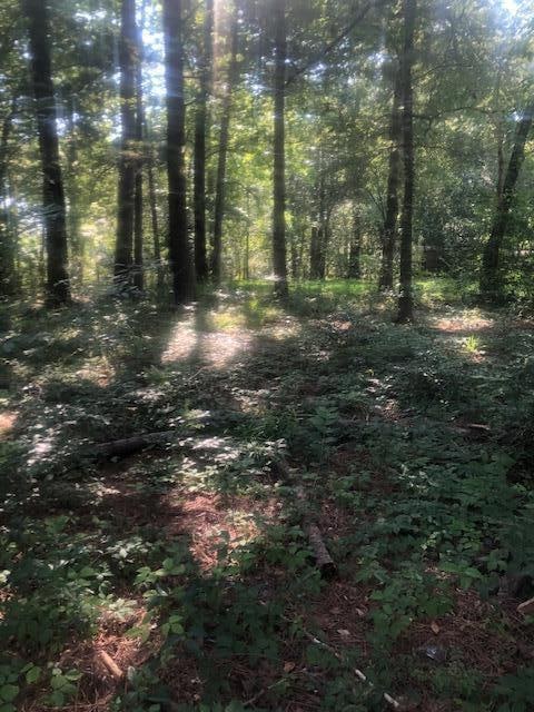 Sold $42,000 • Co-Listing Agent