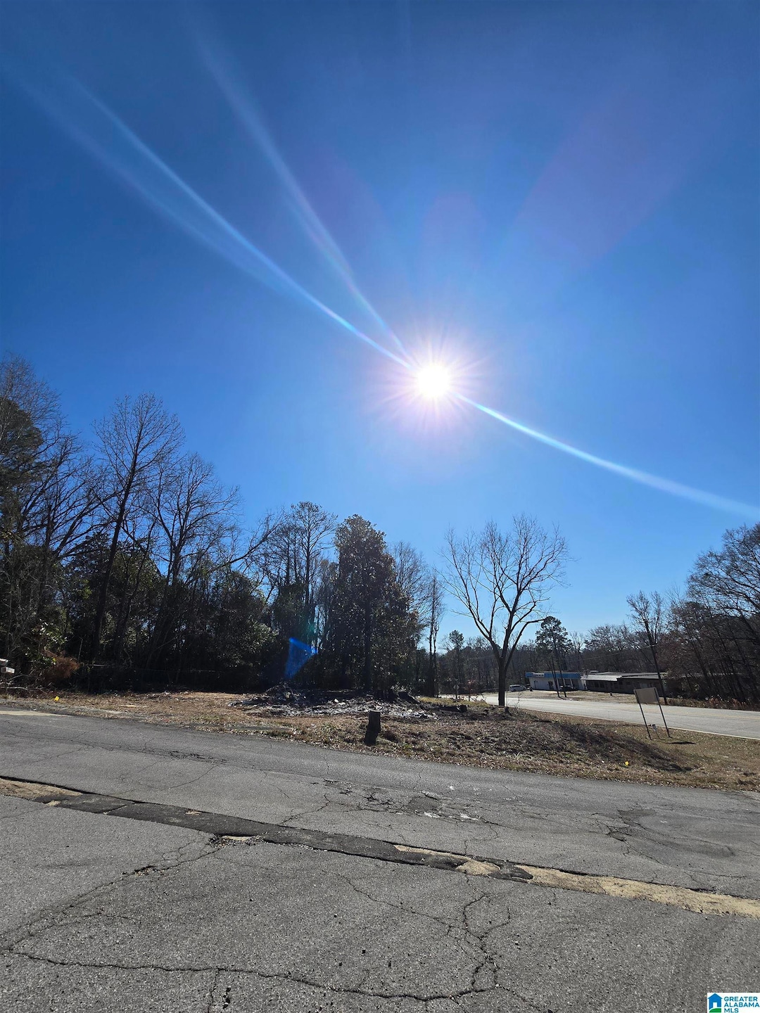 0 Highway 82 unit 1 21409554, Centreville, AL 35042 - photo 1