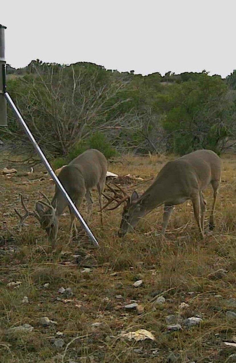 780 Sd 42000, Rocksprings, TX 78880 - photo 1
