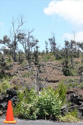 View from the upper corner of lot 23, block 143 from Iwalani Parkway toward the mountain.  Beautiful air quality from this approx 4,000 ft elevation.