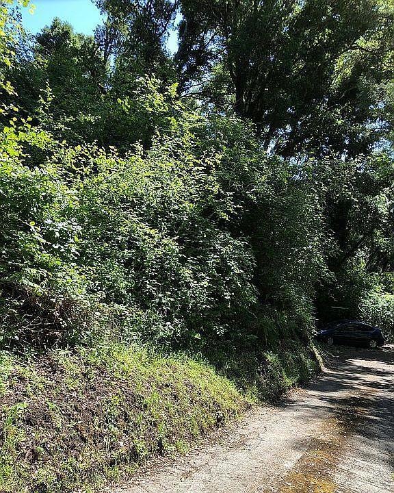 0 Farr Ave unit ML82027412, Aptos, CA 95003 - photo 1