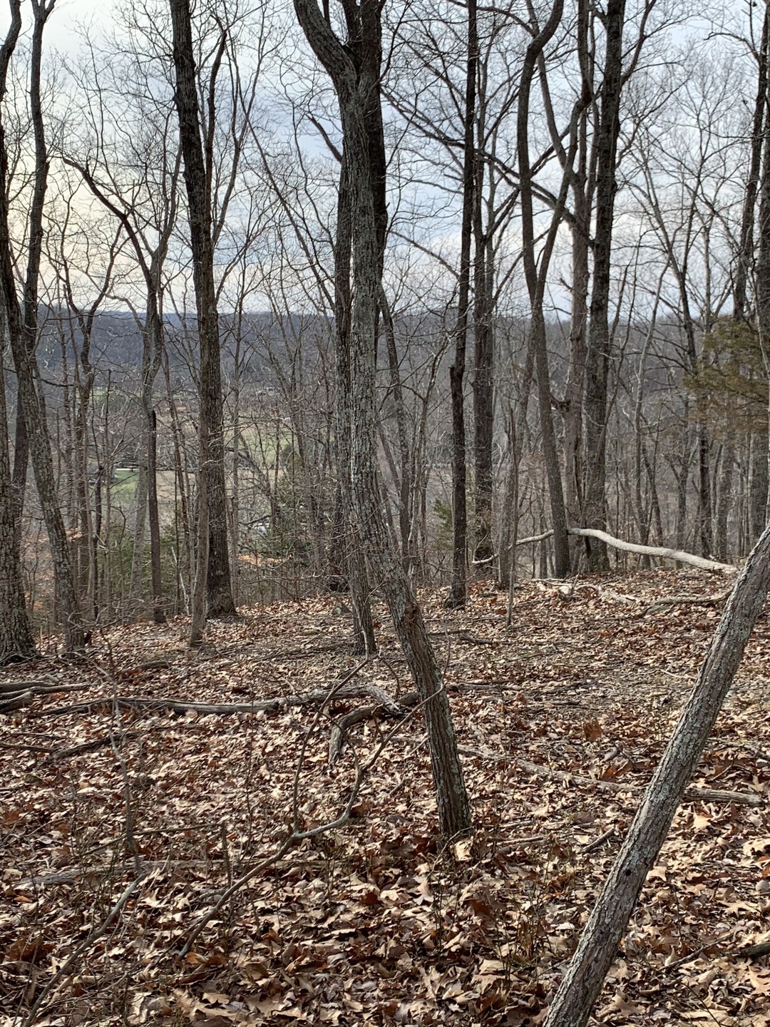 0 Hester Beasley Rd unit RTC2498520, Nashville, TN 37221 - photo 1